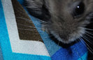 20110129_1.jpg