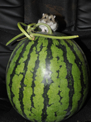 20120521_mame1.jpg