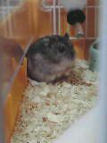 20120627_ruru1.jpg