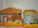 20140324_06.jpg